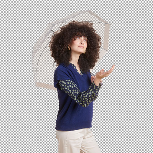 1 Background remove (41)
