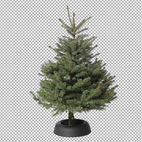 1 Background remove (7)