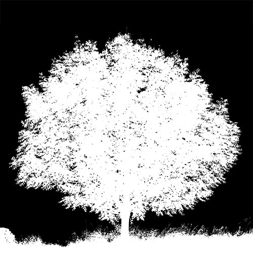 Image Masking (60)